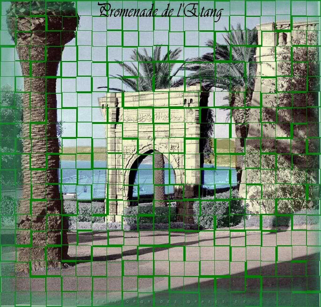 PROMENADE DE LETANG 008.JPG